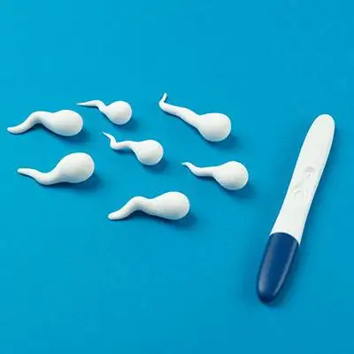 Fertility